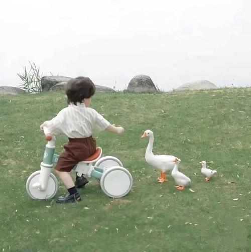 情侣头像小女孩骑鸭子(情侣头像小女孩拉着小女孩)