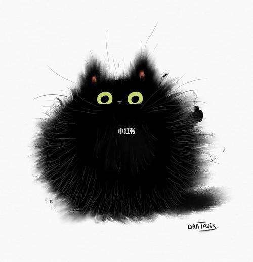 黑猫头像(微信头像黑猫)