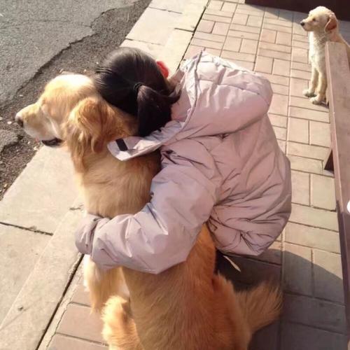 一个小女孩一只狗背影头像(小女孩和小狗的一起坐着背影头像)