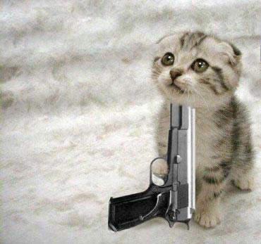 猫拿枪高清情侣头像(拿着枪的猫情侣头像超清)