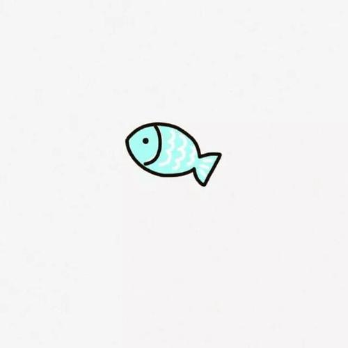 小鱼的照片头像(关于小鱼的头像)