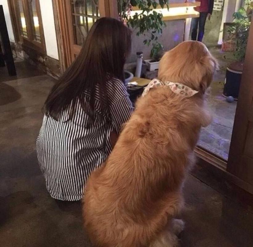 一个女人和一只狗的背影头像(女生和狗的背影头像图片大全)