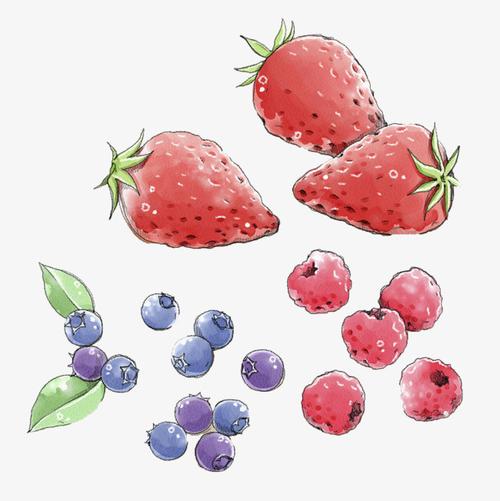 蓝莓草莓闺蜜头像(闺蜜头像二人各一张)