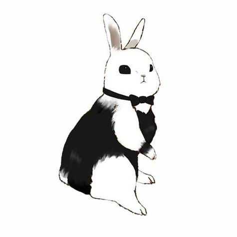 兔仙头像黑的(兔仙和兔子的头像)