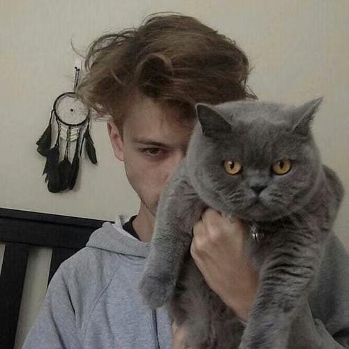 欧美男生抱小猫头像(抱猫的酷酷的男生头像)