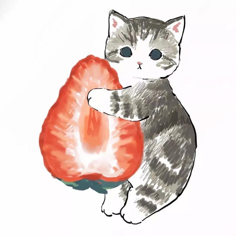 可爱猫猫微信卡通头像(微信头像搞怪可爱猫猫)