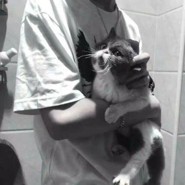 男生抱猫情侣头像(男生抱猫咪头像是不是情侣头像)