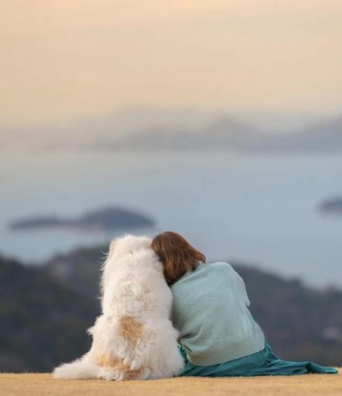 女生和狗在一起的背影头像(情侣头像女孩和狗背影)
