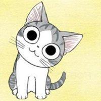 卡通可爱小猫咪头像 微信 图文(微信可爱小猫咪头像超萌图片)