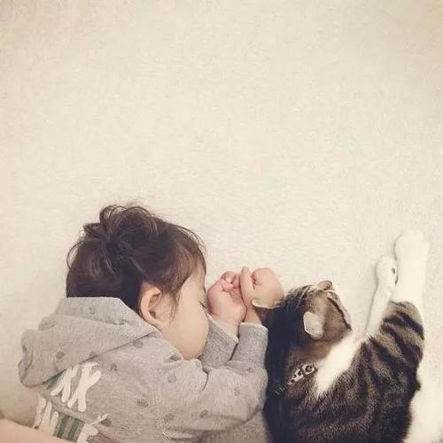 小女孩可爱小猫头像(小女孩和猫咪的头像可爱)