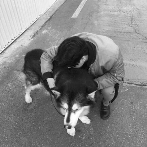 一个男的抱着一只狗是情侣头像吗(情侣头像一个人牵着一只狗)