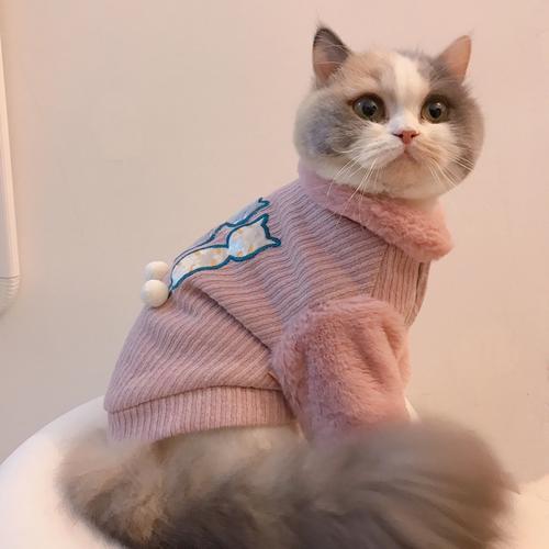 穿毛衣的猫咪头像(猫咪穿外套的头像)