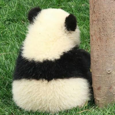 独一无二的熊猫头像(无比震惊的熊猫头像)