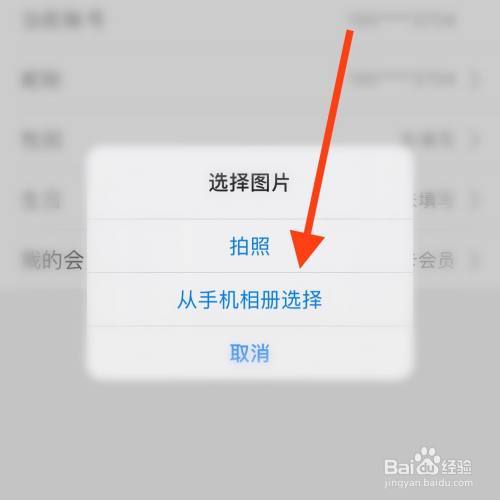 苹果手机id的头像怎么更改(iphone id怎么更换头像)