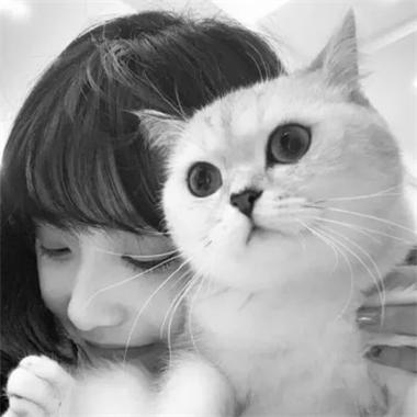带猫的女生头像黑白(黑白的头像女的和猫)
