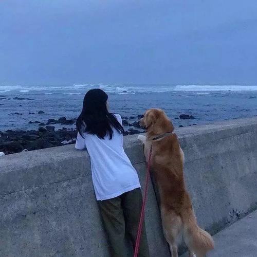 一人一狗看海背影头像男生(看海背影头像男生和宠物)