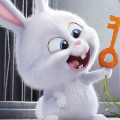 微信兔子头像照片(兔子微信头像100张)