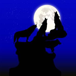 狼对月亮大叫的头像(狼对着月亮吼图片)