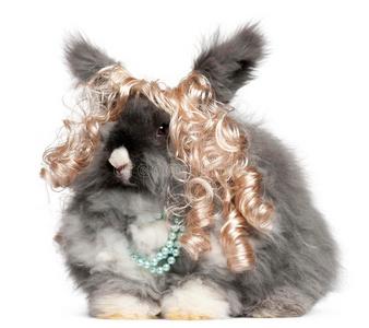兔子头上戴着假发头像(兔子头套帽子头像)