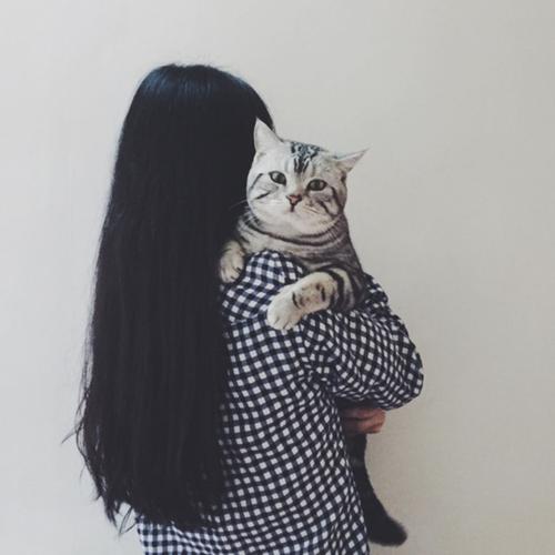 女孩背影加猫的头像(漂亮女孩背影和猫咪头像)