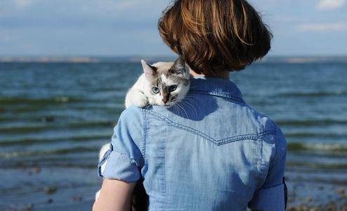 抱猫在海边的头像(抱着猫的照片头像)