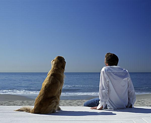 一人一狗看海背影头像男生(看海背影头像男生和宠物)