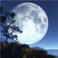 微信头像月球下的人图片(微信月球头像)