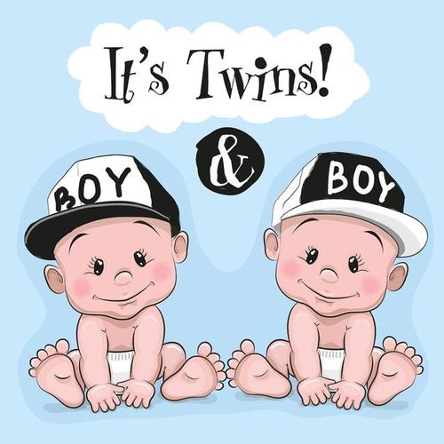 双胞胎宝宝男孩头像(双胞胎男孩家庭头像卡通)