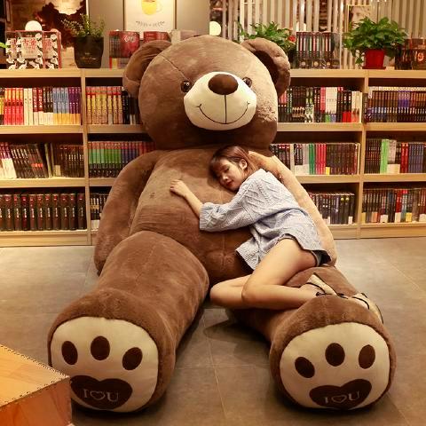 一个女孩子抱大熊的头像(抱着小熊的女生头像真人)