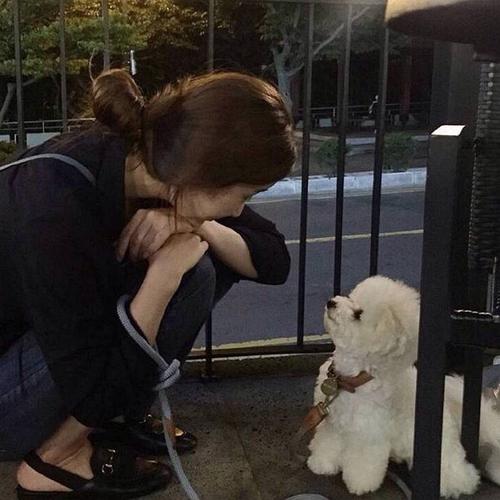 女生和一只狗的头像(女生跟狗狗的头像)