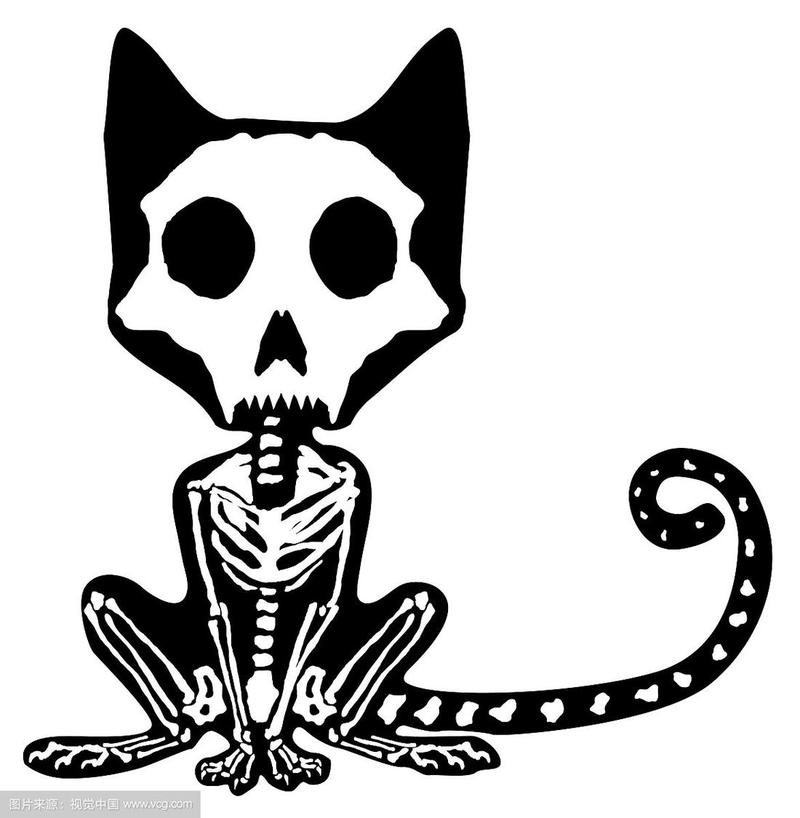 骨架小猫头像(高质量小猫头像)