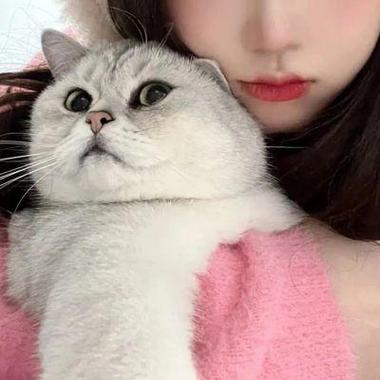 女生微信头像手抱猫是什么性格(微信头像是猫咪的女生是什么性格)