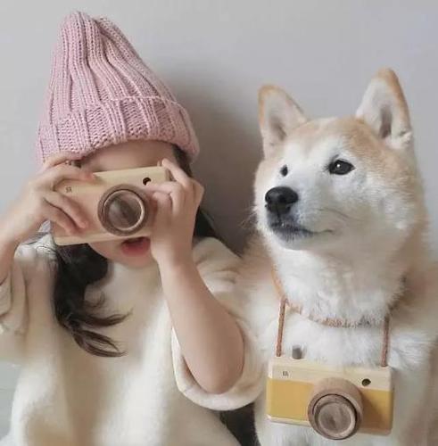 一只狗一个女孩头像图片(女生和狗的背影头像图片大全)