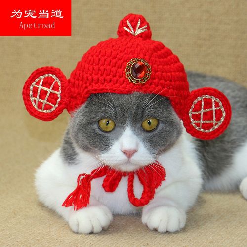 猫咪戴红色帽子头像(猫咪戴墨镜帽子头像)