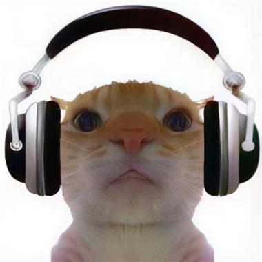 戴耳机的猫头像图片(抱着猫的头像图片大全)
