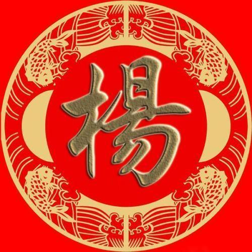 杨字logo头像(杨字logo霸气图片)