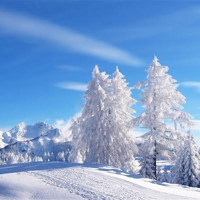 下雪的唯美头像 图文(下雪的风景头像图片大全)