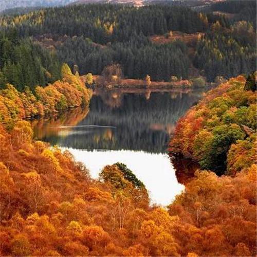 秋季自然风景头像(大自然风景头像简约图片)