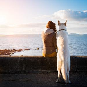 女生和狗在一起的背影头像(情侣头像女孩和狗背影)