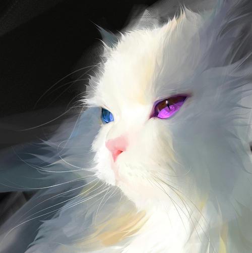 关于白猫系列的头像(很火的一个白猫头像)