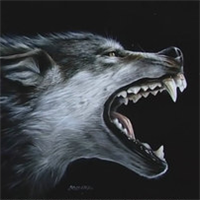 狼的头像凶狠霸气(帅气霸气的狼头像图片)