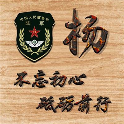 中国武警军人姓氏头像(所有军人姓氏头像图片)