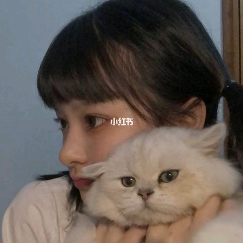 女孩与猫咪的情侣头像(情侣头像女孩和猫咪一对)