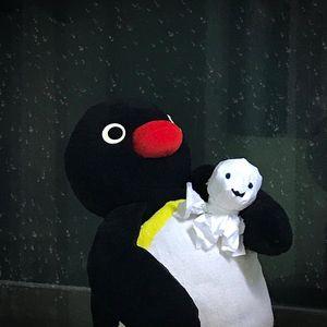 黑色企鹅玩偶头像(玩偶企鹅沙雕头像图片)
