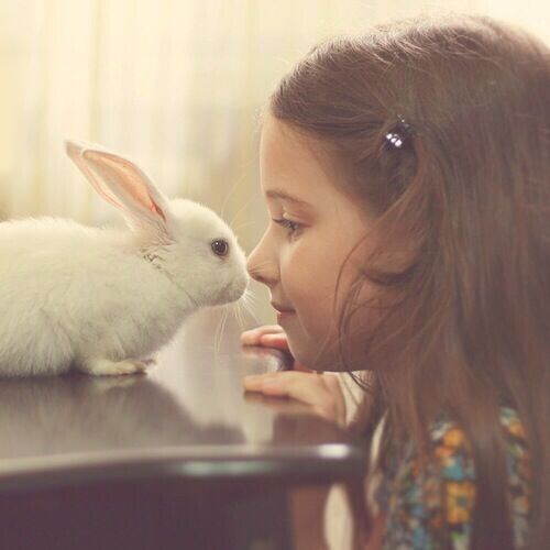 可爱的小女孩和兔子头像(小女孩和兔子的图片头像)
