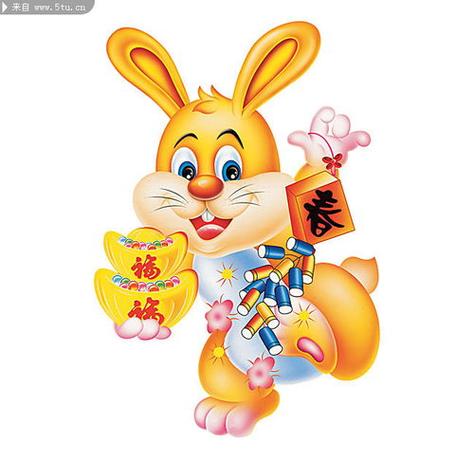 1987最吉利的兔子微信头像