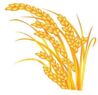 成熟金色麦子微信头像图片(微信头像金色图片2022最新)