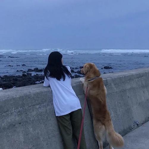 一个女生和一个狗的背影头像(女孩和一只狗海边背影的头像)