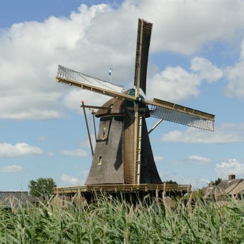荷兰风车微信头像图文(微信头像风景威廉古堡)