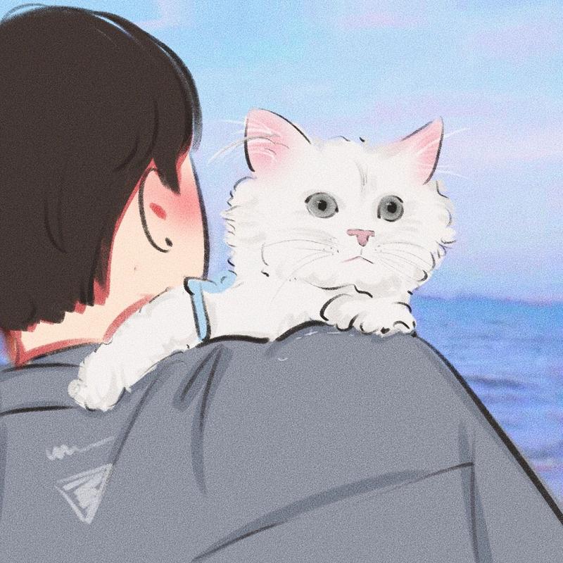 头像情侣抱着一只猫(情侣头像一个女孩一个猫)